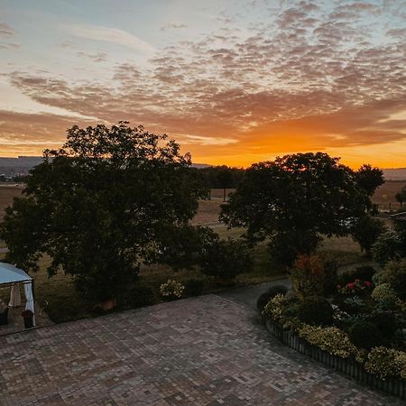 Weingut U. Gaestehaus Vogt-Fehlinger Biebelsheim Exteriér fotografie