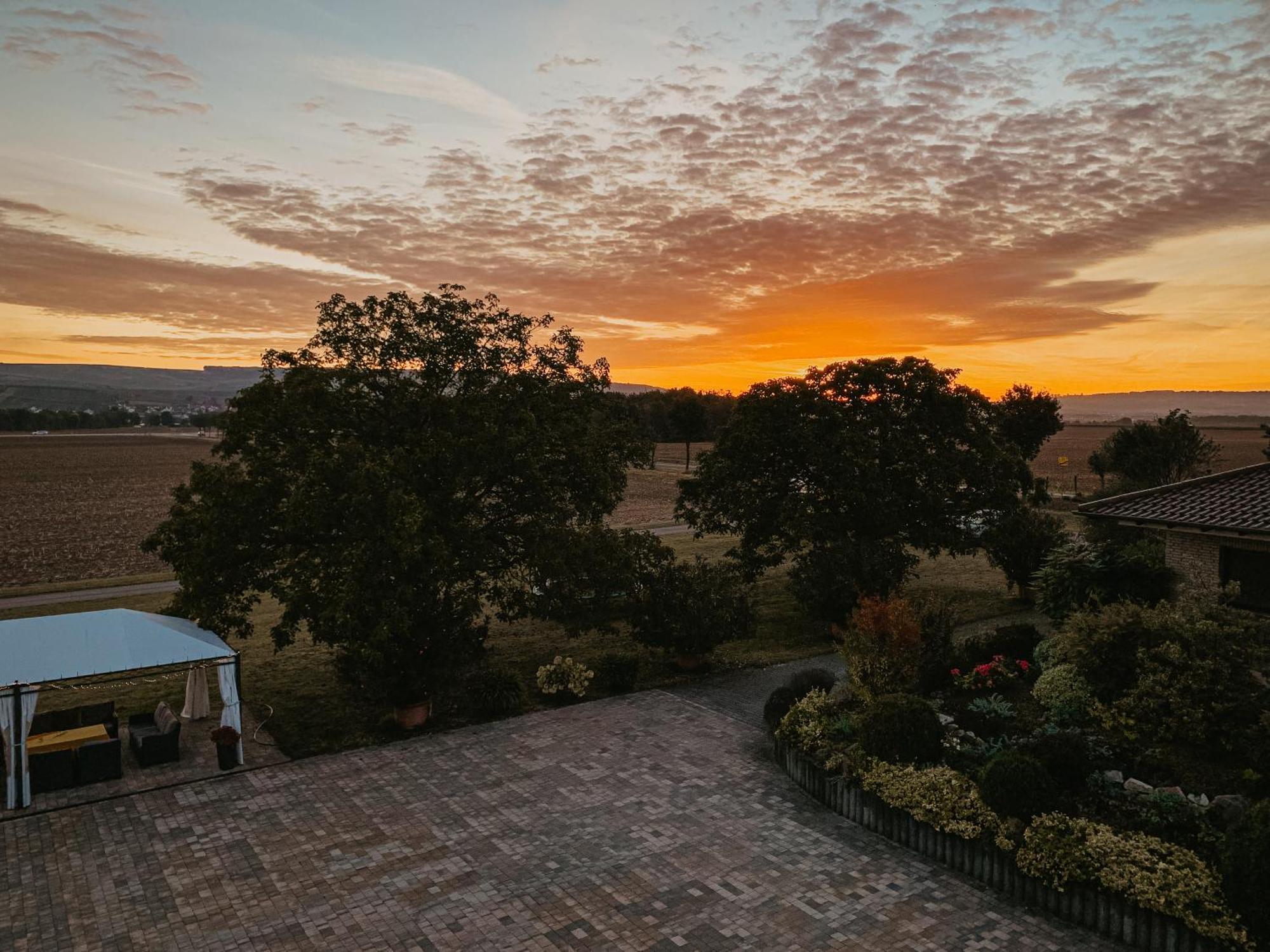 Weingut U. Gaestehaus Vogt-Fehlinger Biebelsheim Exteriér fotografie
